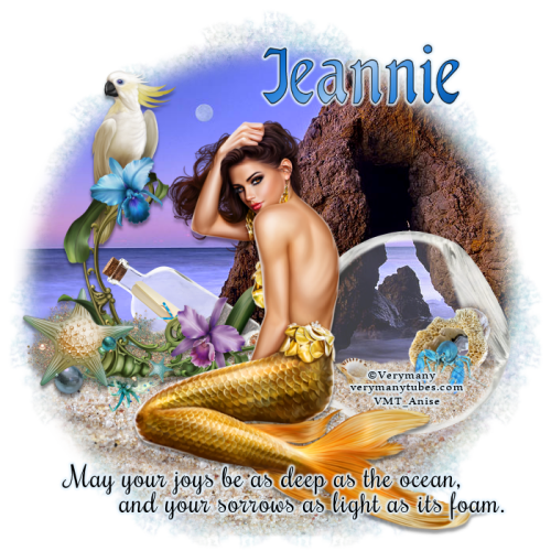 VeryMany_VMT_Anise-3.png