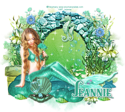 VeryMany_VMT_Jeannie-8.png