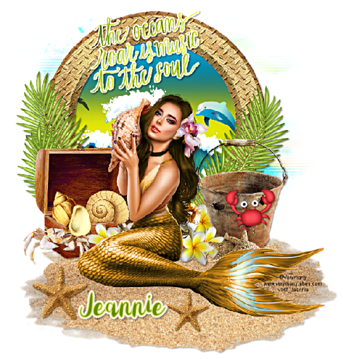 VeryMany_VMT_Jeannie_shell.png
