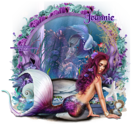 VeryMany_VMT_Sandy_fish.png