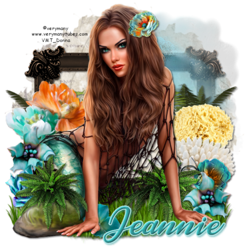 Verymany_VMT_Donna-3.png