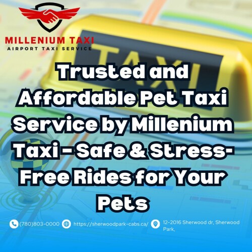 Trusted-and-Affordable-Pet-Taxi-Service-by-Millenium-Taxi--Safe--Stress-Free-Rides-for-Your-Pets.jpg