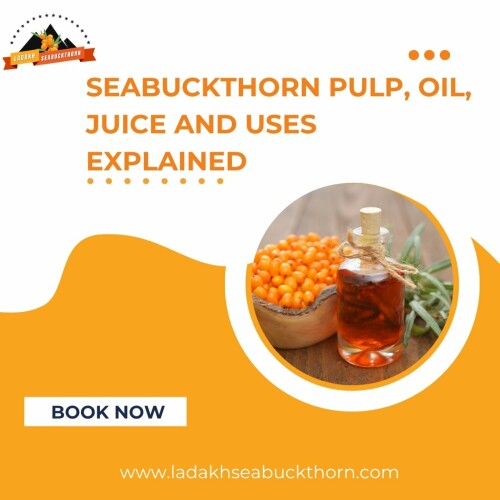 sea-buckthorn-4.jpg