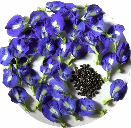 Aparajita-Blue-Pea-Seeds1.jpg