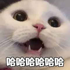 blob.webp