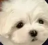 blob1bee0475e313cdf3.webp