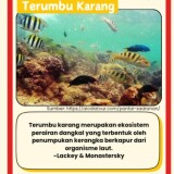 ekosistem-pantai2