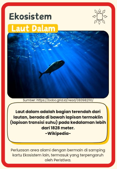 ekosistem-pantai3.jpg