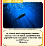 ekosistem-pantai3