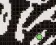 blob274a6cc6ccba472a.webp