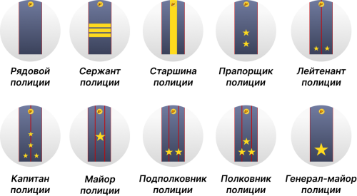 Frame-148ee73c5483cca79d7.png