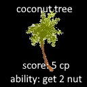 coconut-tree.png