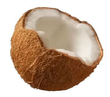 coconut.png
