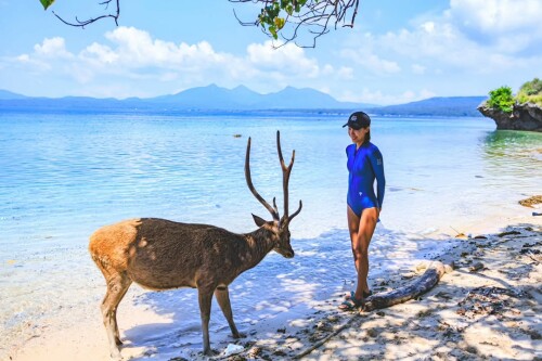asian805-menjangan-deer-island..jpg