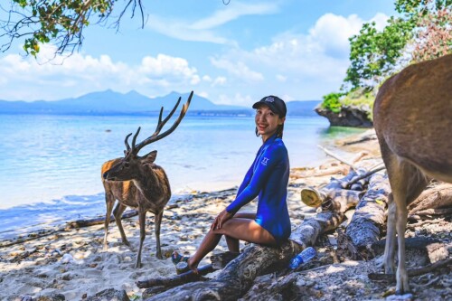 asian805-menjangan-deer-island.jpg
