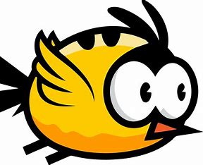 bird-photo.jpeg
